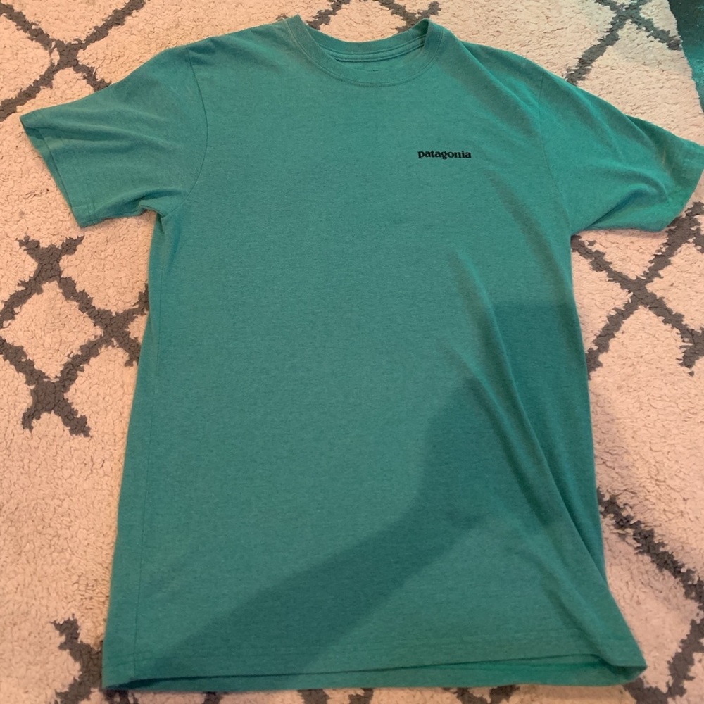 Green Patagonia t-shirt